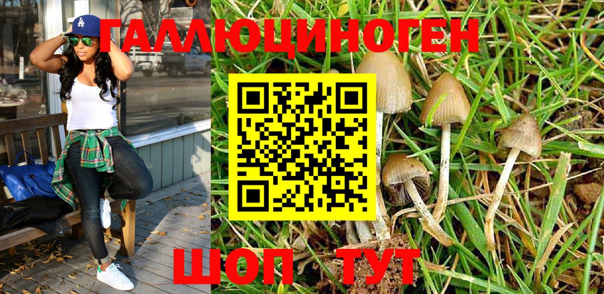 Галлюциногенные грибы Magic Shrooms  Галлюциногенные грибы ЛСД  Волжский  Вход с VPN 