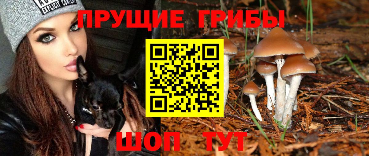 Галлюциногенные грибы ЛСД Волжский